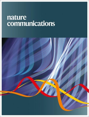 澳城大學者研究論文獲頂刊發表 揭示F型噬菌體尾樣細菌素結構